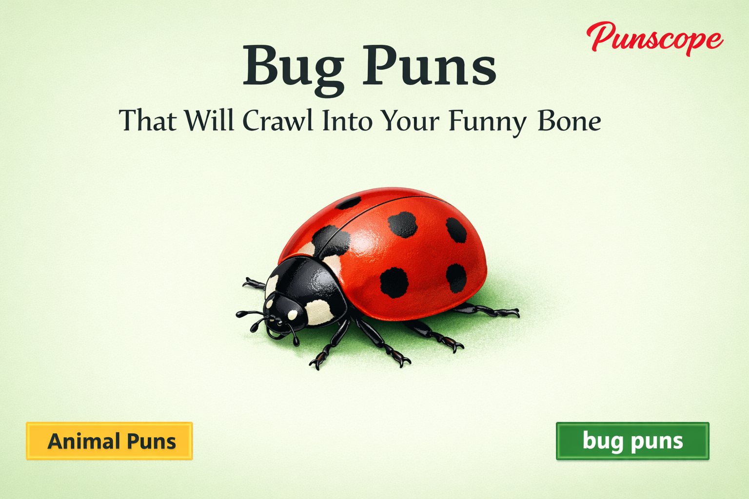 Bug Puns