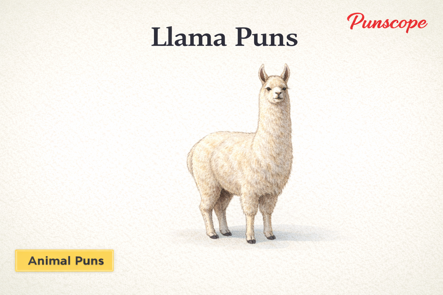 Llama Puns