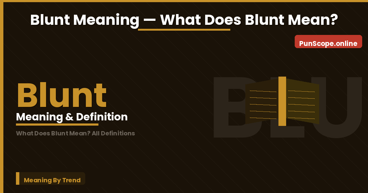 blunt meaning