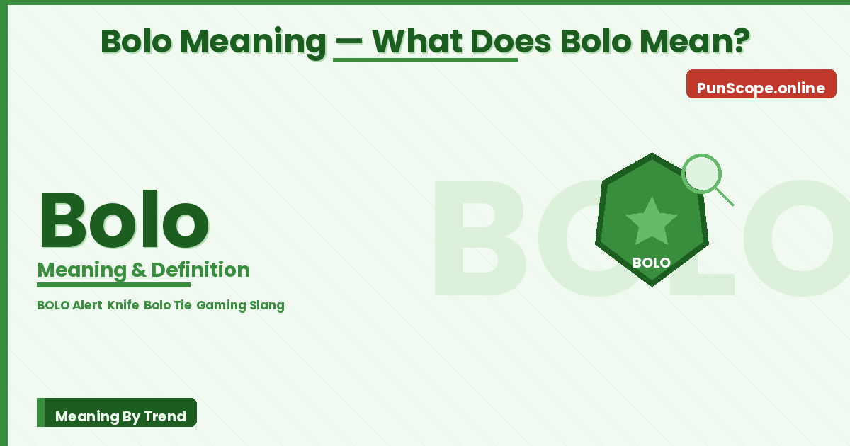 bolo meaning