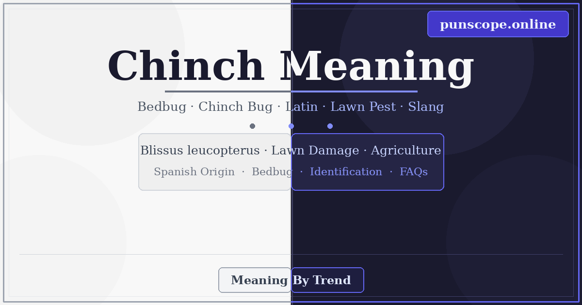 chinch meaning