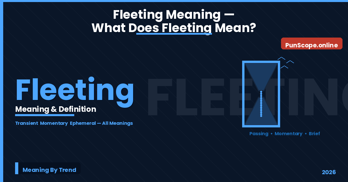 fleeting meaning
