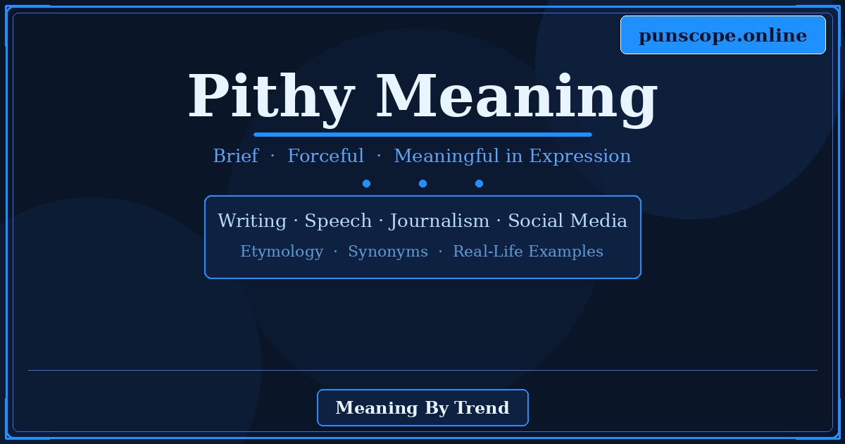 pithy meaning